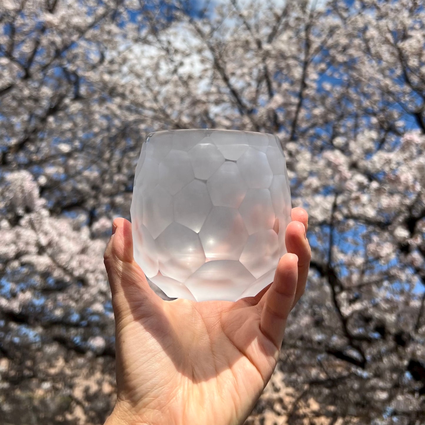 Sakumon Tumbler - Battuto A