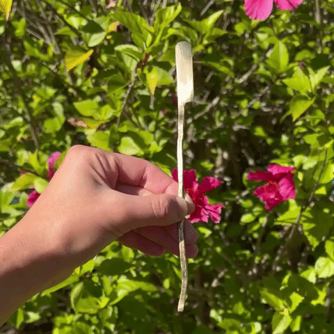 Sculpted Butter Knife