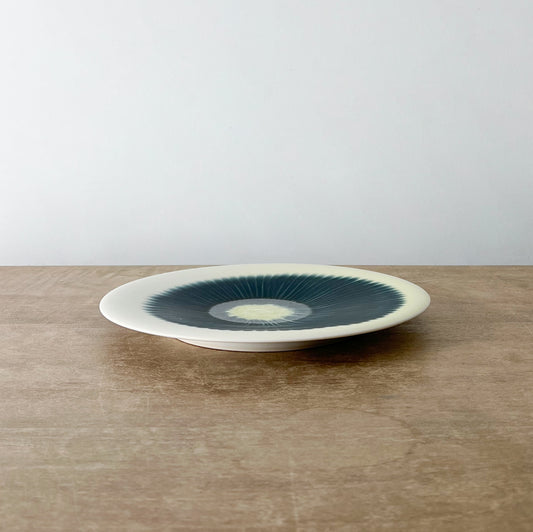 Plate 9.5”, Indigo Wash