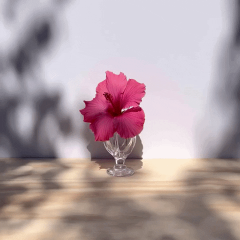 Bulb Single Flower Vase